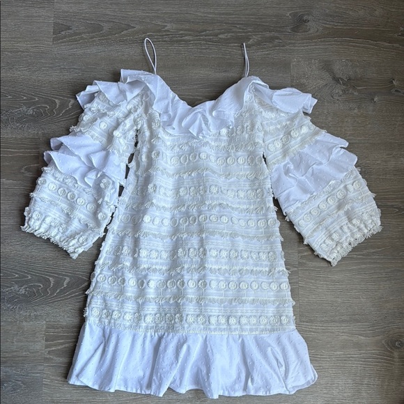 Alexis Calypso Ruffle Mini Dress - Picture 2 of 14